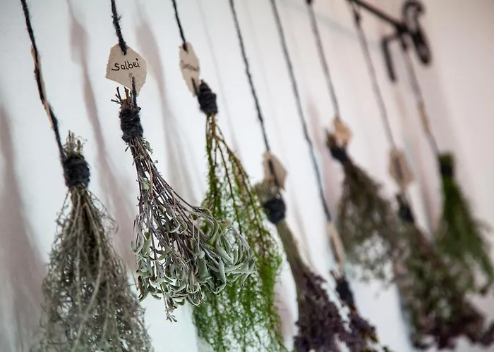 Boutique Olympia Hotel Seefeld in Tirol